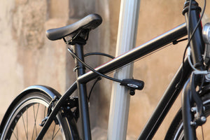 Interlock Integrated Bike Lock